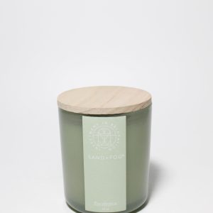 Eucalyptus 10 oz scented candle