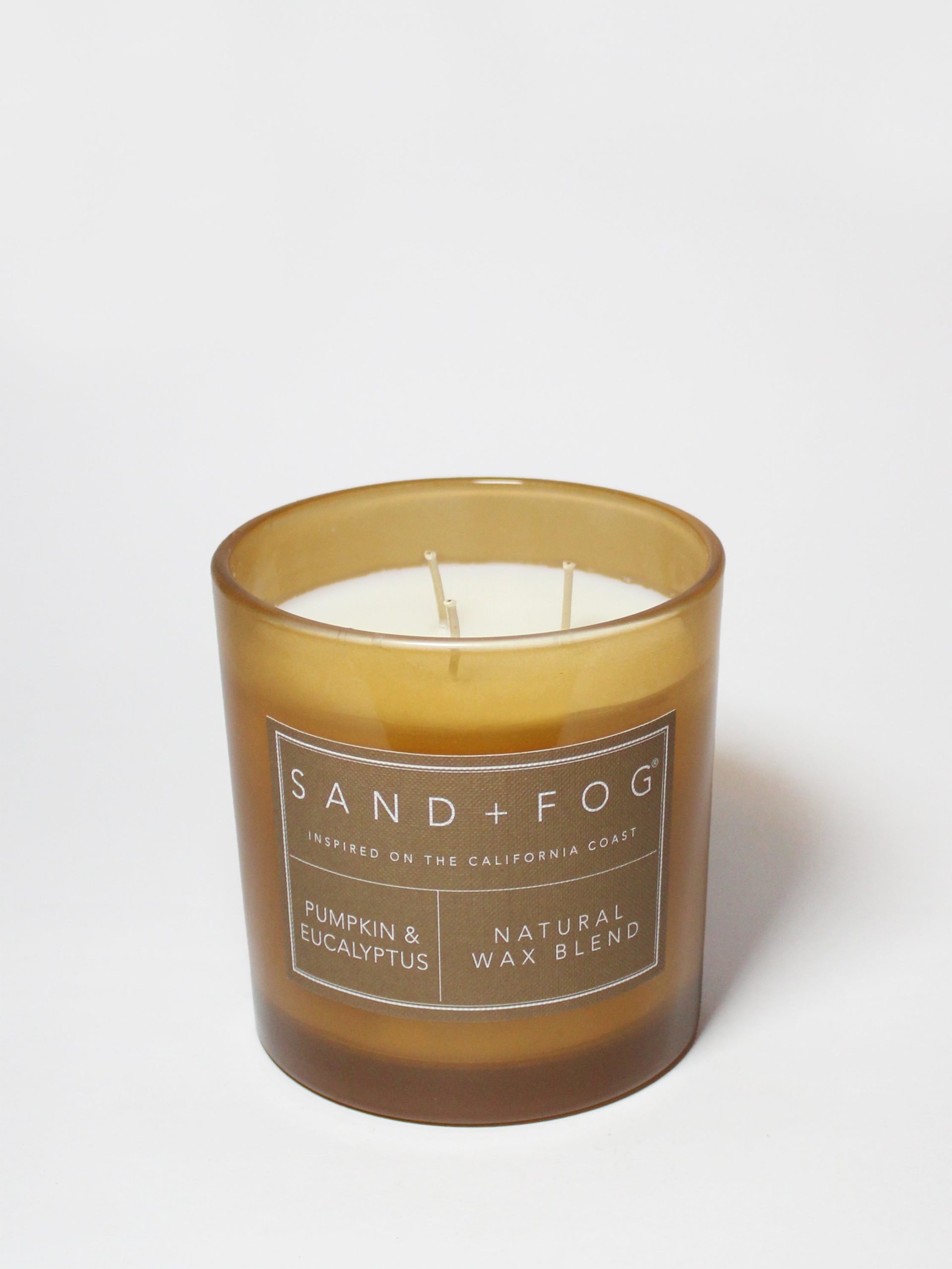 Pumpkin & Eucalyptus 21 oz scented candle