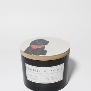 Sand + Paws Pineapple Coconut 12 oz scented candle