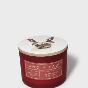 Sand + Paws Winter Pine 12 oz Scented Candle