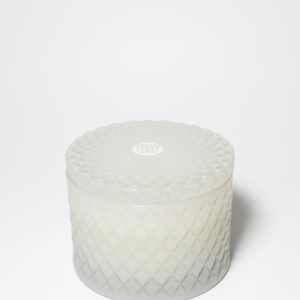 Tropical Citrus 9.5 oz scented candle