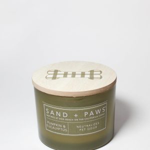 Sand + Paws Pumpkin & Eucalyptus 12 oz scented candle