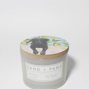 Sand + Paws Tropical Citrus 12 oz scented candle